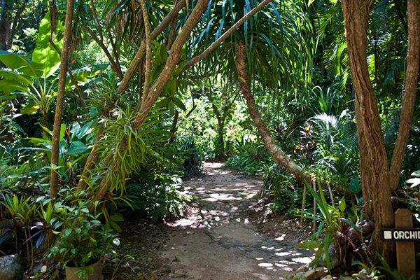 carousel-carambola-jardin-botanico