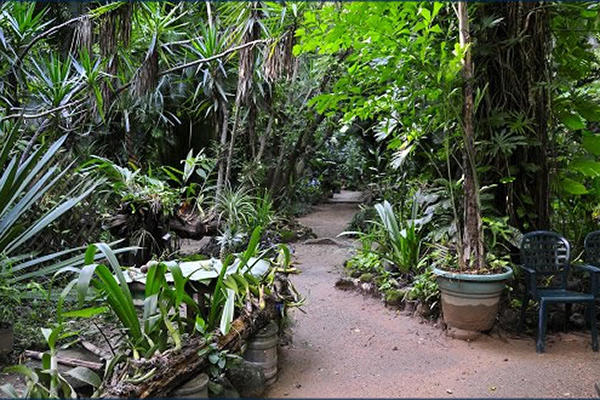 carousel-carambola-jardin-botanico