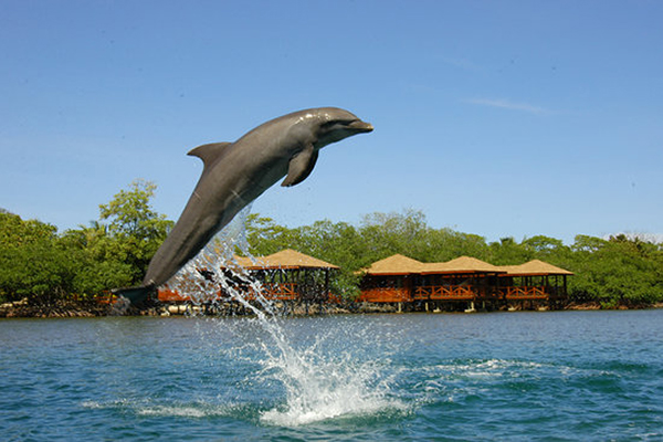 carousel-encuentro-con-delfines