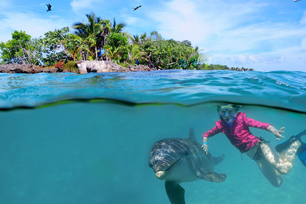 carousel-encuentro-con-delfines