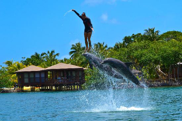 carousel-encuentro-con-delfines